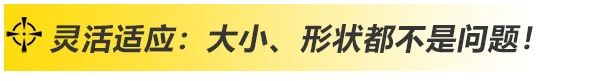 上海NBA网站app